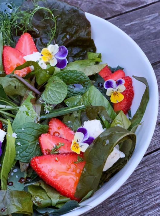 Strawberry Spring & Mixed Greens Salad Recipe